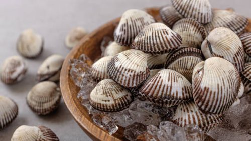 Clam (Siham)