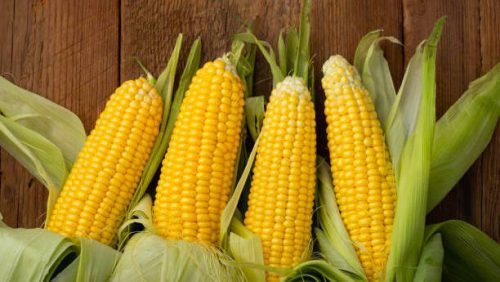 Corn