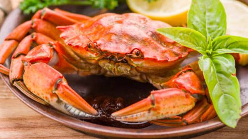 Crab