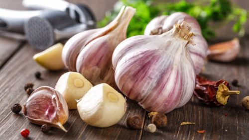 Garlic