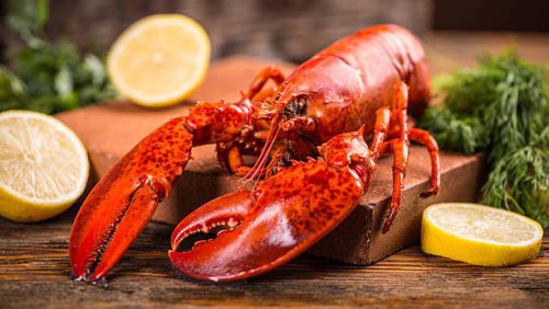 Lobster