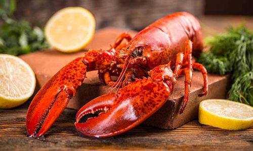 Lobster