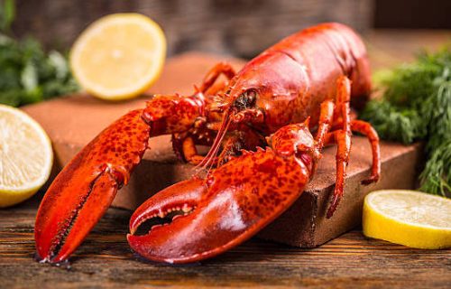 Lobster