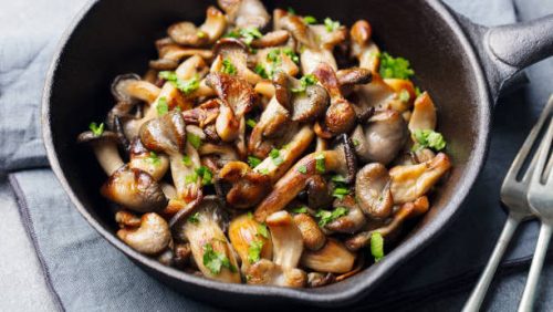 Mushroom