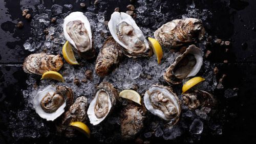 Oyster
