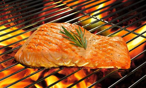 Salmon