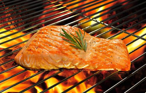 Salmon
