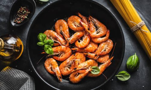 Shrimp