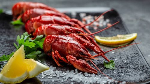 Small Lobster